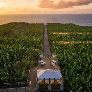 Hacienda La Dehesa (adults Only) , Buenavista Del Norte Spanje